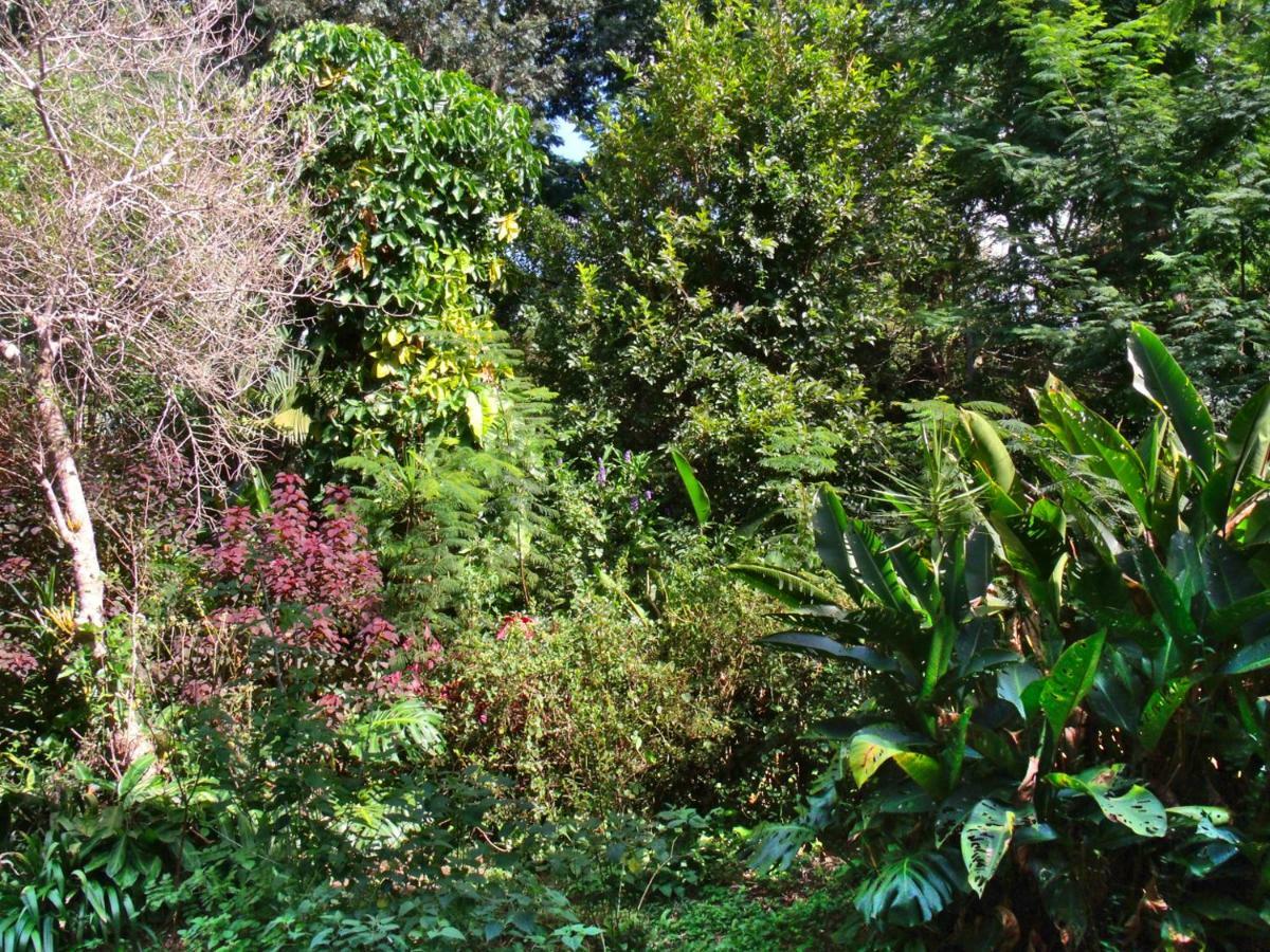Hotel Curitiba Campo Comprido Exteriér fotografie